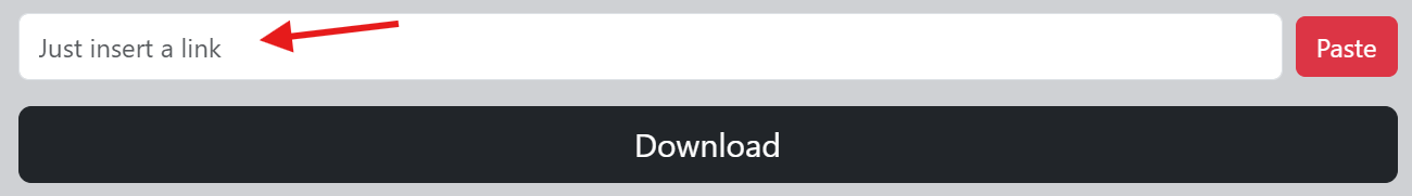 TikTok Video Downloader